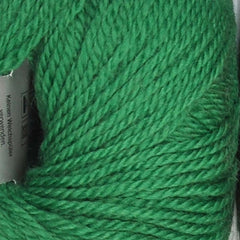Schoeller & Stahl "Limbo" Yarn - Superwash Virgin Wool, DK Weight, 137 yards - Green