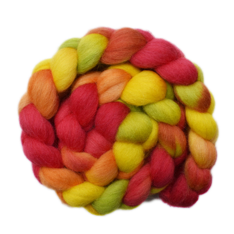 Hand painted Bergschaf wool roving for hand spinning and felting