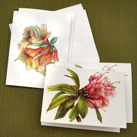 Blank Notecards, Set of Four - Proceeds to Charity - Original Drawings by Ilga - Rhododendrons