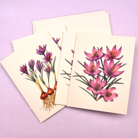 Blank Notecards, Set of Four - Proceeds to Charity - Original Drawings by Ilga - Crocus