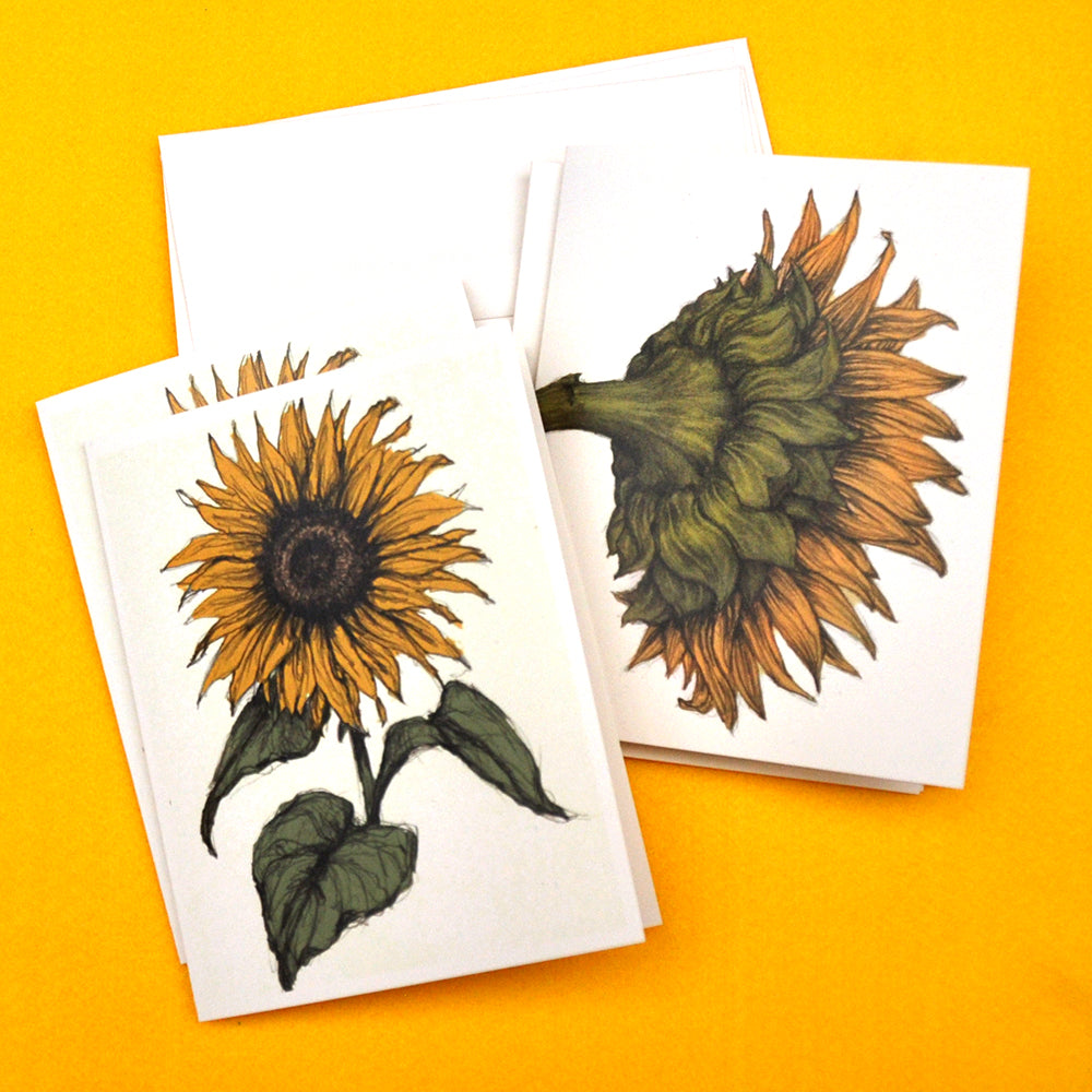 Sunflower drawing blank note cards