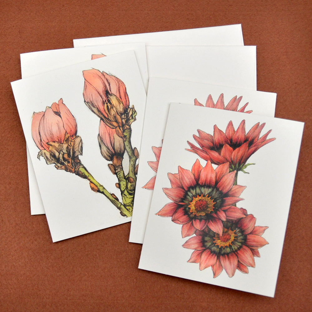 Gazania and magnolia drawings blank note cards