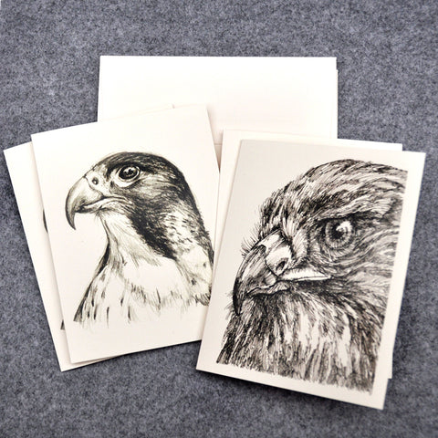 Blank Notecards, Set of Four - Proceeds to Charity - Original Drawings by Ilga - Hawk and Falcon