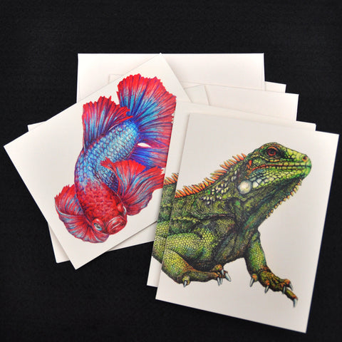 Blank Notecards, Set of Four - Proceeds to Charity - Original Drawings by Ilga - Iguana and Betta