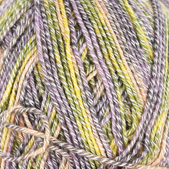 Plymouth "Sockotta" yarn closeup