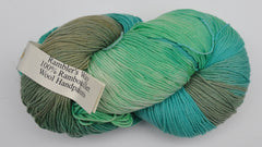 Rambler's Way Hand Painted Yarn - Rambouillet Wool, DK Weight, 600 Yards - I Know It's Over