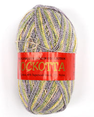 Plymouth "Sockotta" yarn skein