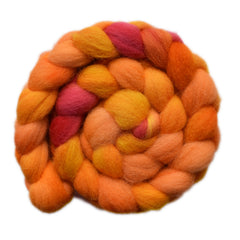 Hand painted Brecknock Hill Cheviot wool for hand spinning