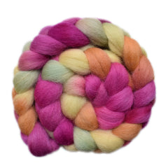 Hand painted Bergschaf wool roving for hand spinning and felting