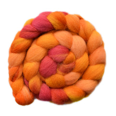 Hand painted Brecknock Hill Cheviot wool for hand spinning