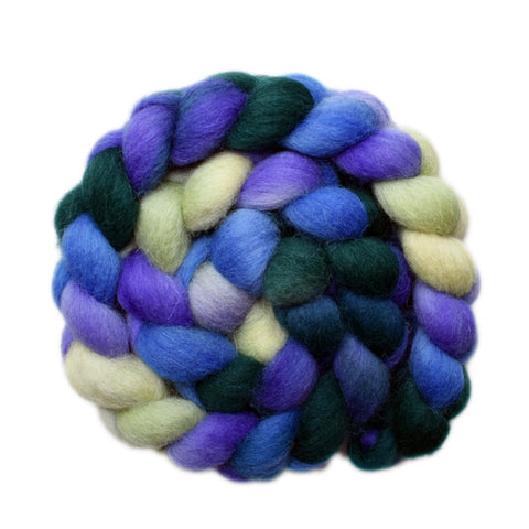 Bergschaf Wool Roving - Well-Wishers 2 - 4.3 ounces