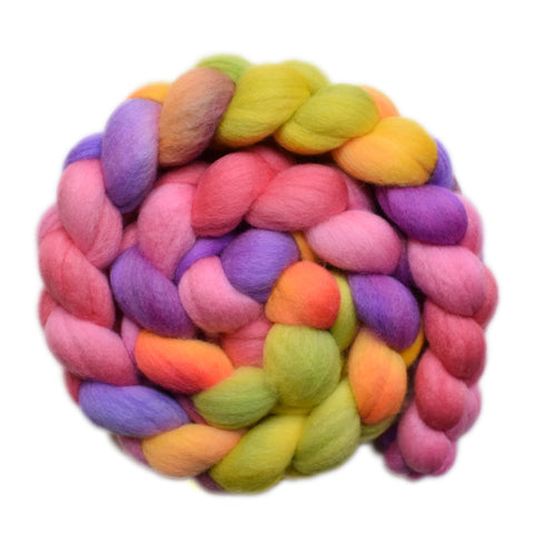 South American Wool Roving - At Play 1 - 4.1 ounces