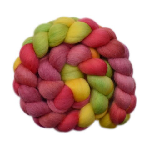 Punta Arenas Wool Roving - Apples on the Tree 2 - 4.2 ounces