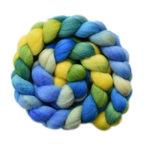 Polwarth Wool Roving - Seaside 2 - 3.9 ounces