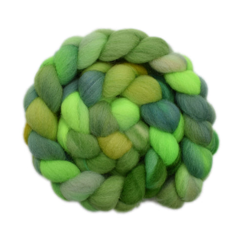 Finn Wool Roving - Spring Shoots 2 - 4.1 ounces