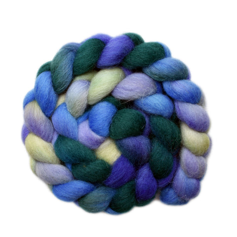 Bergschaf Wool Roving - Well-Wishers 1 - 4.2 ounces