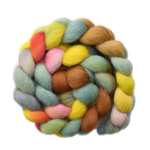 Bergschaf Wool Roving - Friendly Greeting 2 - 4.1 ounces