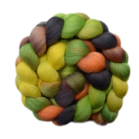 Punta Arenas Wool Roving - Sprouting Leaves 2 - 4.3 ounces
