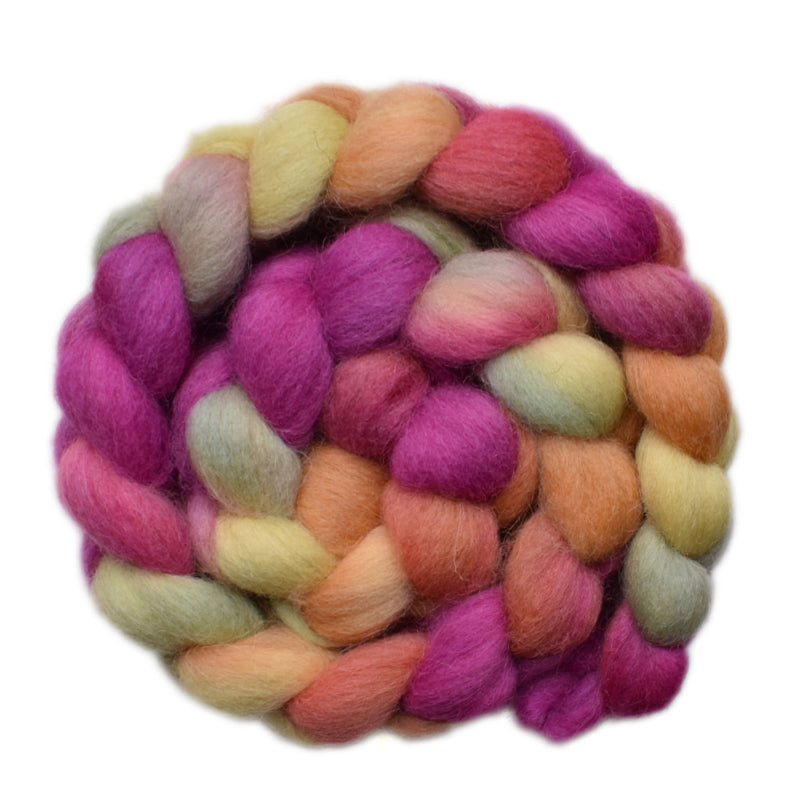 Hand painted Bergschaf wool roving for hand spinning and felting
