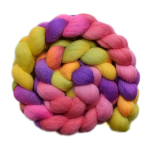South American Wool Roving - At Play 2 - 4.2 ounces
