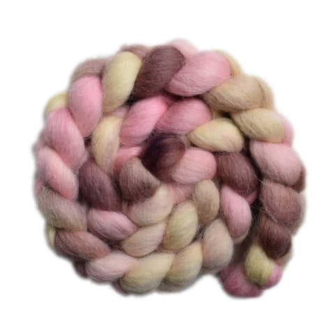 Scandinavian Mountain Wool Roving - Neapolitan 2 - 4.2 ounces