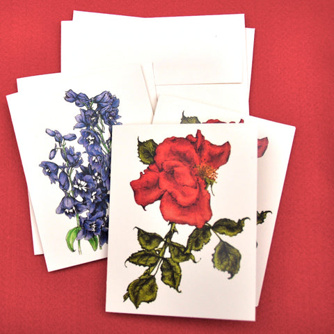 Blank Notecards, Set of Four - Proceeds to Charity - Original Drawings by Ilga - Delphinium and Rose