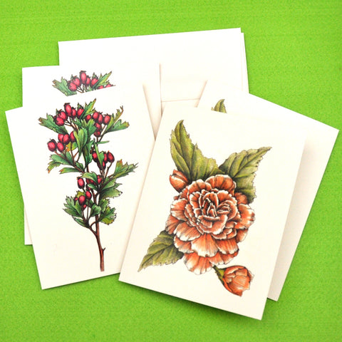 Blank Notecards, Set of Four - Proceeds to Charity - Original Drawings by Ilga - Begonia and Hawthorne