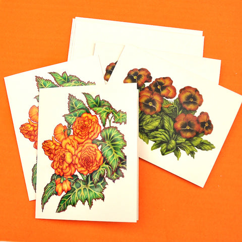 Blank Notecards, Set of Four - Proceeds to Charity - Original Drawings by Ilga - Begonia and Pansies