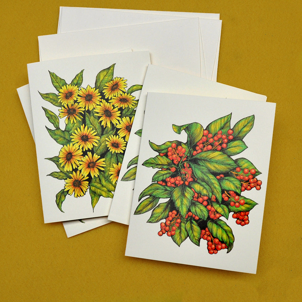 Daisies and berries drawings blank note cards